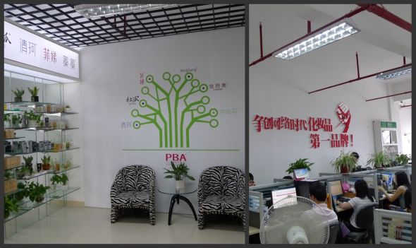 要做“网络时代化妆品第一品牌”，PBA还有多远？