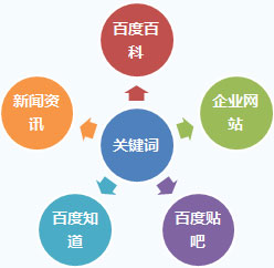 自然排名优化项目