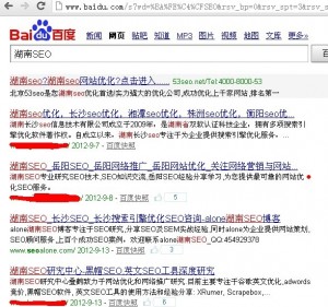 谷歌浏览器湖南SEO排名
