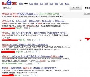 360浏览器湖南SEO排名