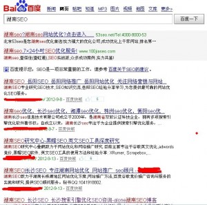 搜狗浏览器湖南SEO排名