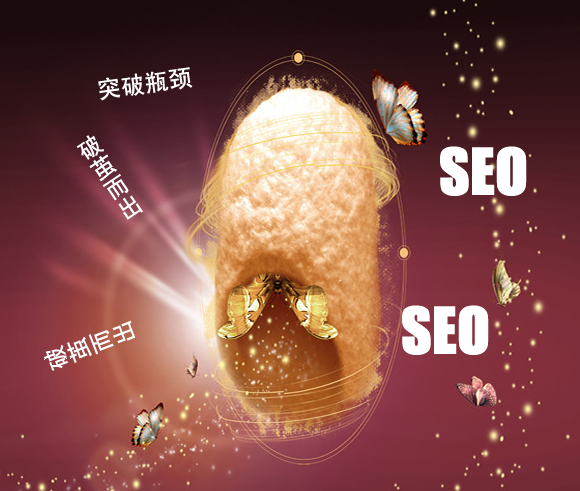 夹缝中的SEO人能否破茧而出