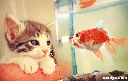 经历创业——失败的“新东方”