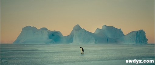 大学生创业两年利润70万，他们是怎么做到的？（中篇）