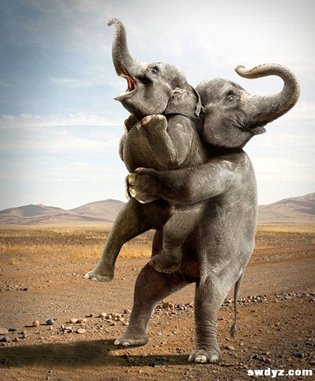 百度是如何保护原创的？谈百度原创那点事