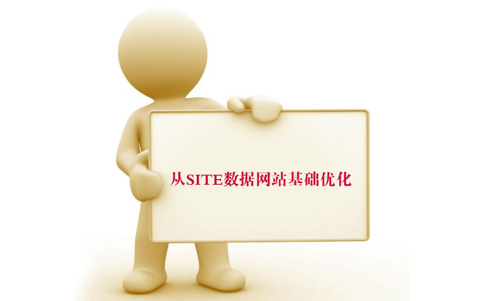 从SITE数据看网站基础优化