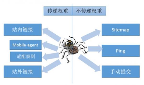 大拿分享：SEO的系统化策略