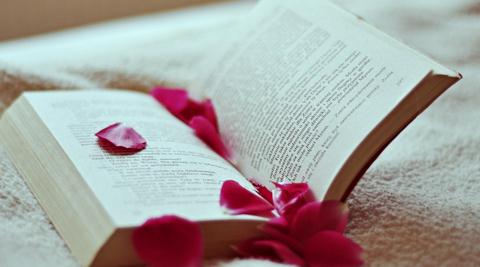 掌握感性思路，轻松写出高质量的SEO原创文章 第五张