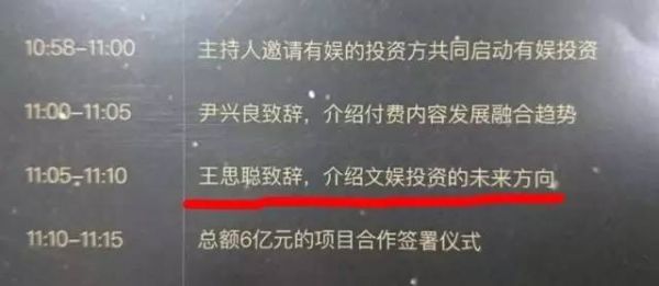 王思聪投了家网综网大平台，他又想怎么赚钱？