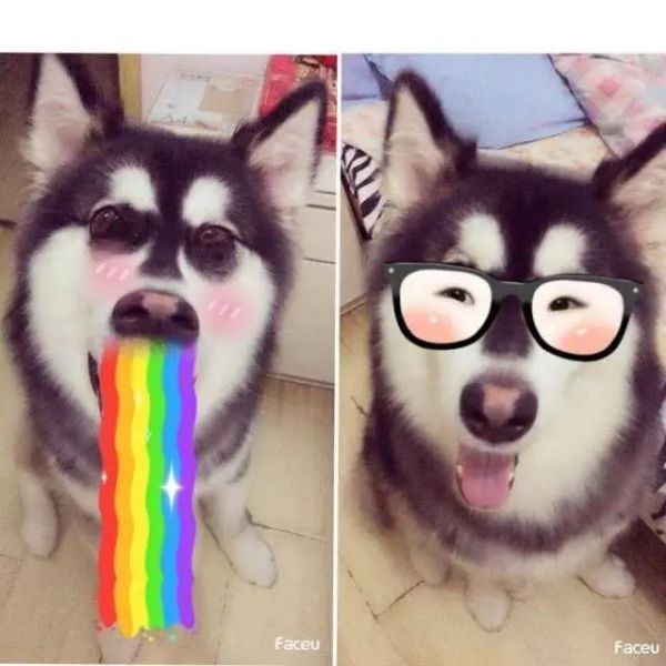 骚浪贱的品牌才能搞定95后消费者？