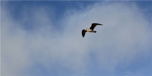 风投这个事：干久了爹妈认为你不孝，创业者觉得你事儿逼