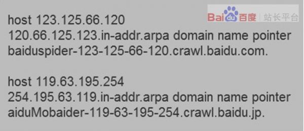 官方说法：只用两步 正确识别百度蜘蛛