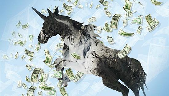 独角兽时代：人们对于创业成功的概念扭曲了