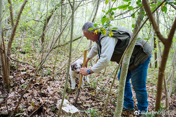 为了让大家明白“我是谁” Airbnb爱彼迎在中国做了什么？