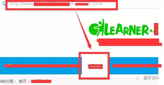 案例：某教育培训企业网站seo站内诊断