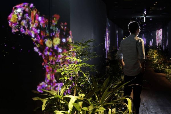 日本*情之王成创业明星 竟然被大学争鲜邀请做演讲？