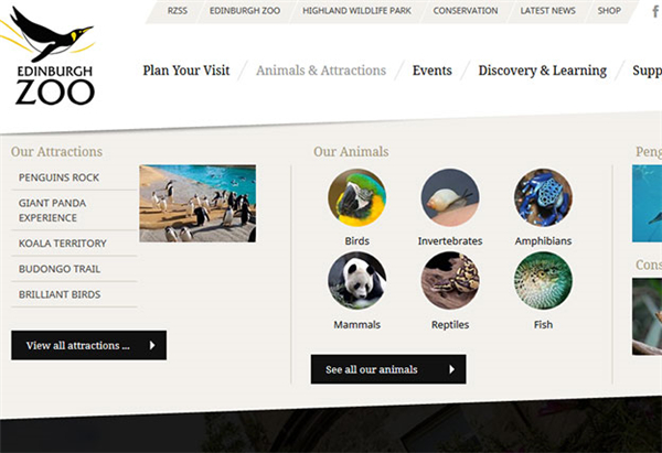 创意导航菜单最新趋势分析 告诉你为啥别人的菜单才好看（含6个实用例子）