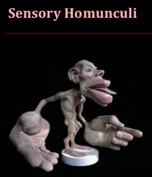 为什么说语音交互是未来的主流交互方式之一？