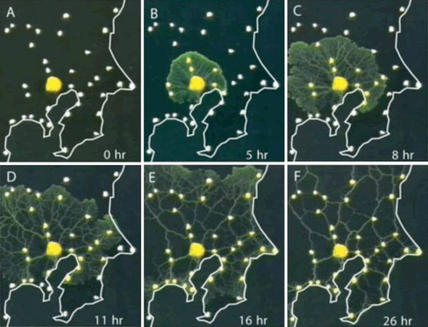追本溯源：探索几何学设计