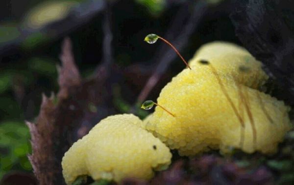 追本溯源：探索几何学设计