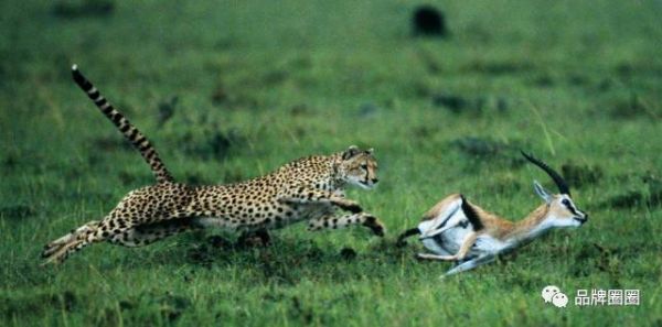 做营销，最重要的能力是什么？