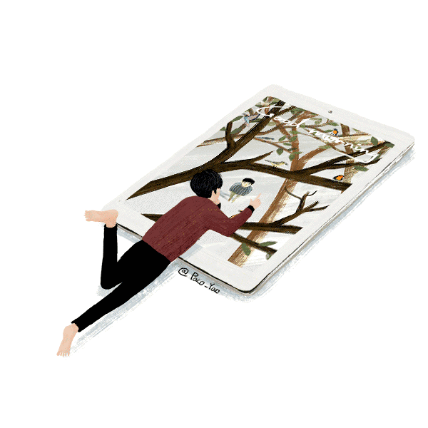 要读的东西这么多，轻芒、MONO等碎片阅读APP如何突围？