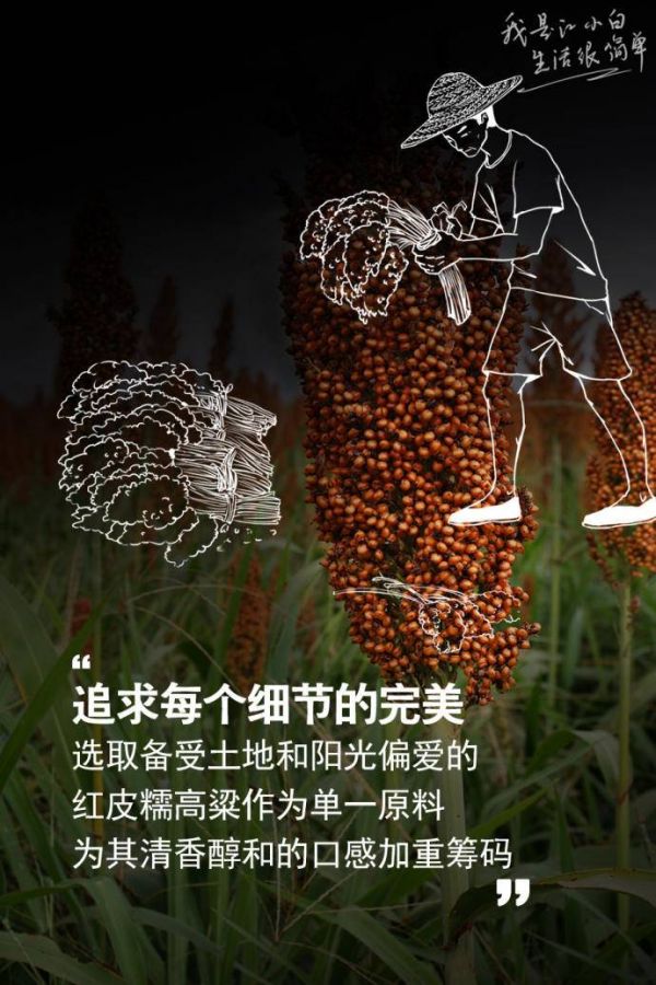 江小白年度广告合集|一款凭文案走红的白酒,一年都是怎么做的?