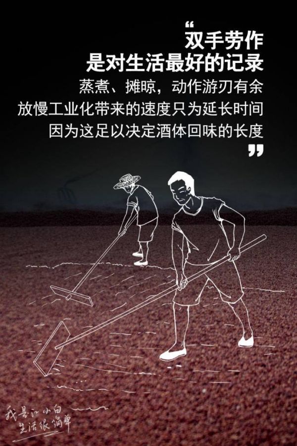 江小白年度广告合集|一款凭文案走红的白酒,一年都是怎么做的?