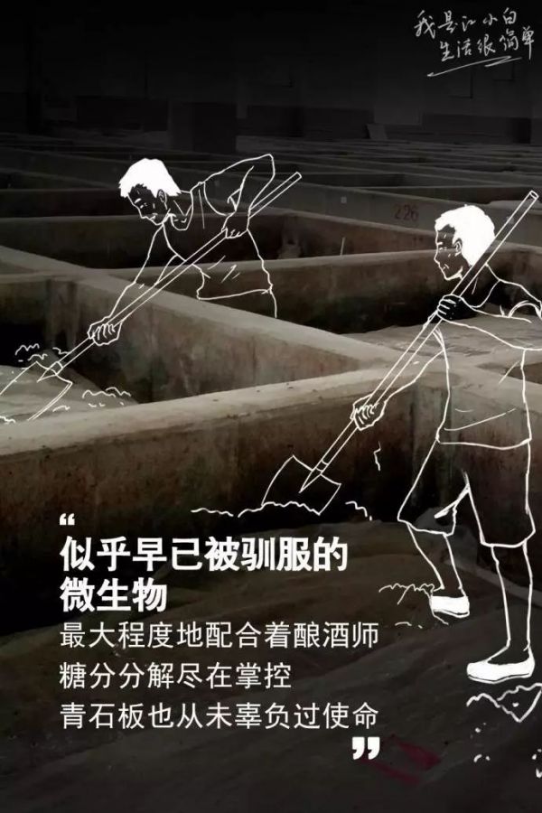 江小白年度广告合集|一款凭文案走红的白酒,一年都是怎么做的?