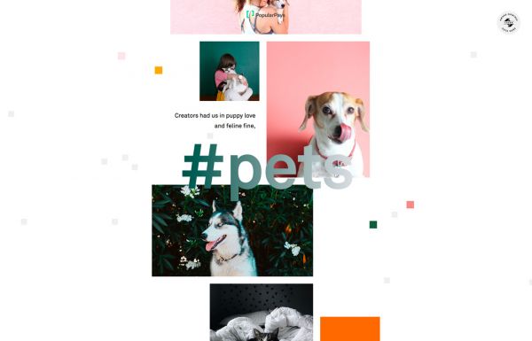 你了解风靡网页设计领域的「开放式布局」嘛?