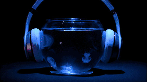 天猫超级品牌日：一场把联合营销玩成IP的营销革命