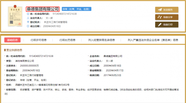 桑德集团有限公司