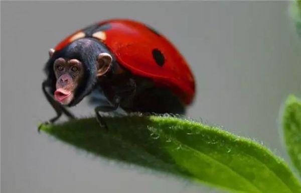 关于营销、运营、广告、新媒体的23条思考!