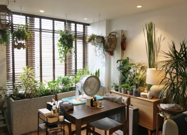 好好住完成B轮融资，前身是家居自媒体“总有可取处”