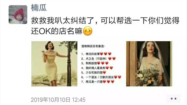 那个写出5000万爆文的小编裸辞了 | 新媒体人的职场挣扎与突围