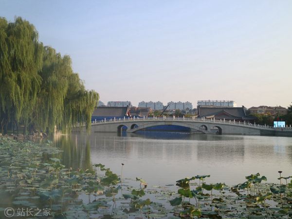 西安大唐芙蓉园 荷花 旅游_副本