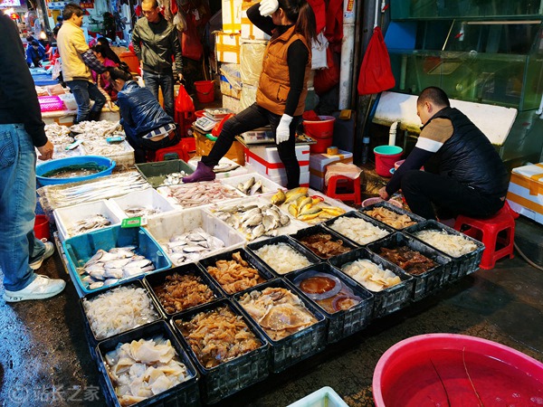 菜市场、海鲜、生鲜 (1)_副本